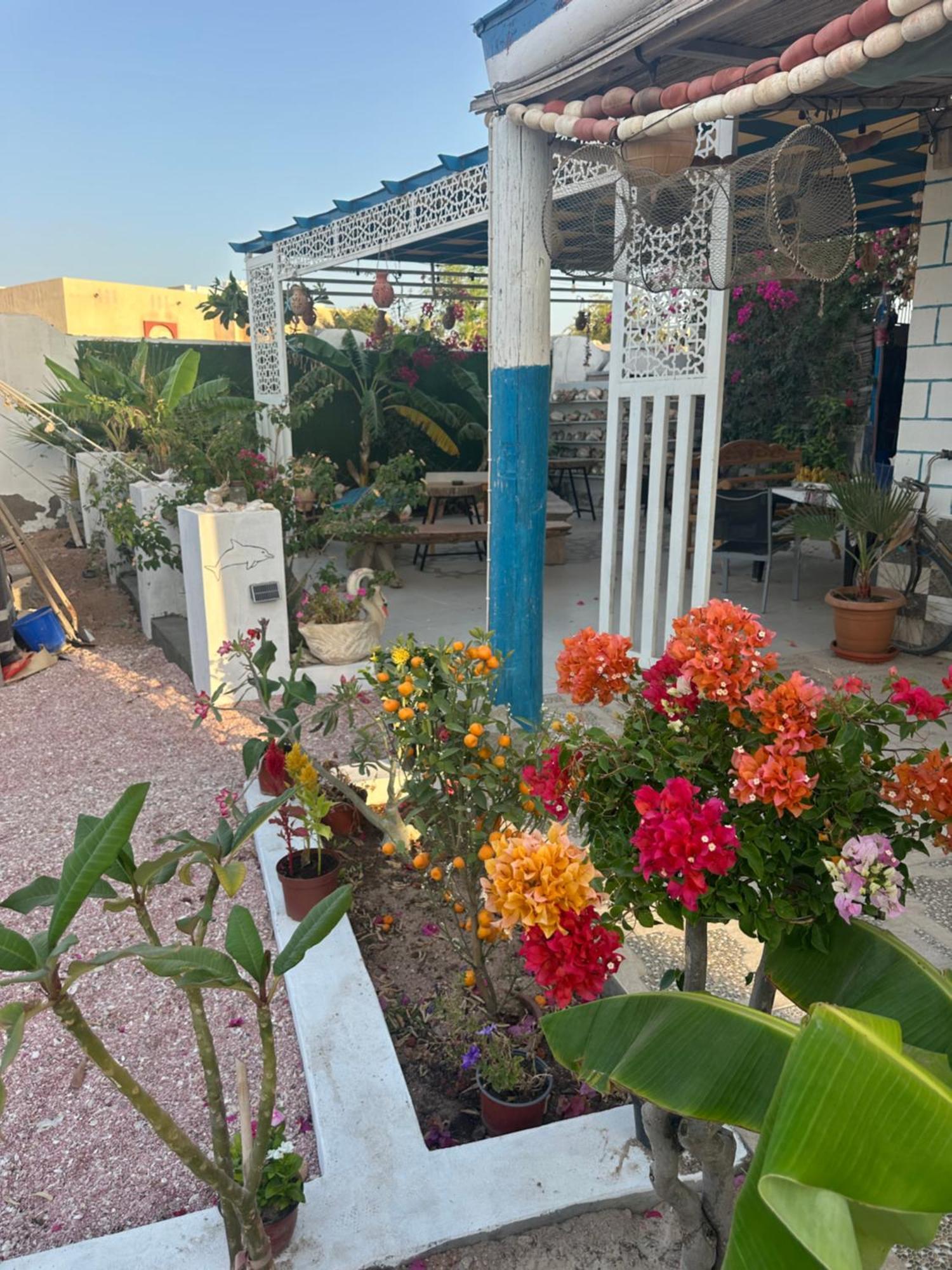 Salem Fish Guest House Ras al Hadd Exterior photo