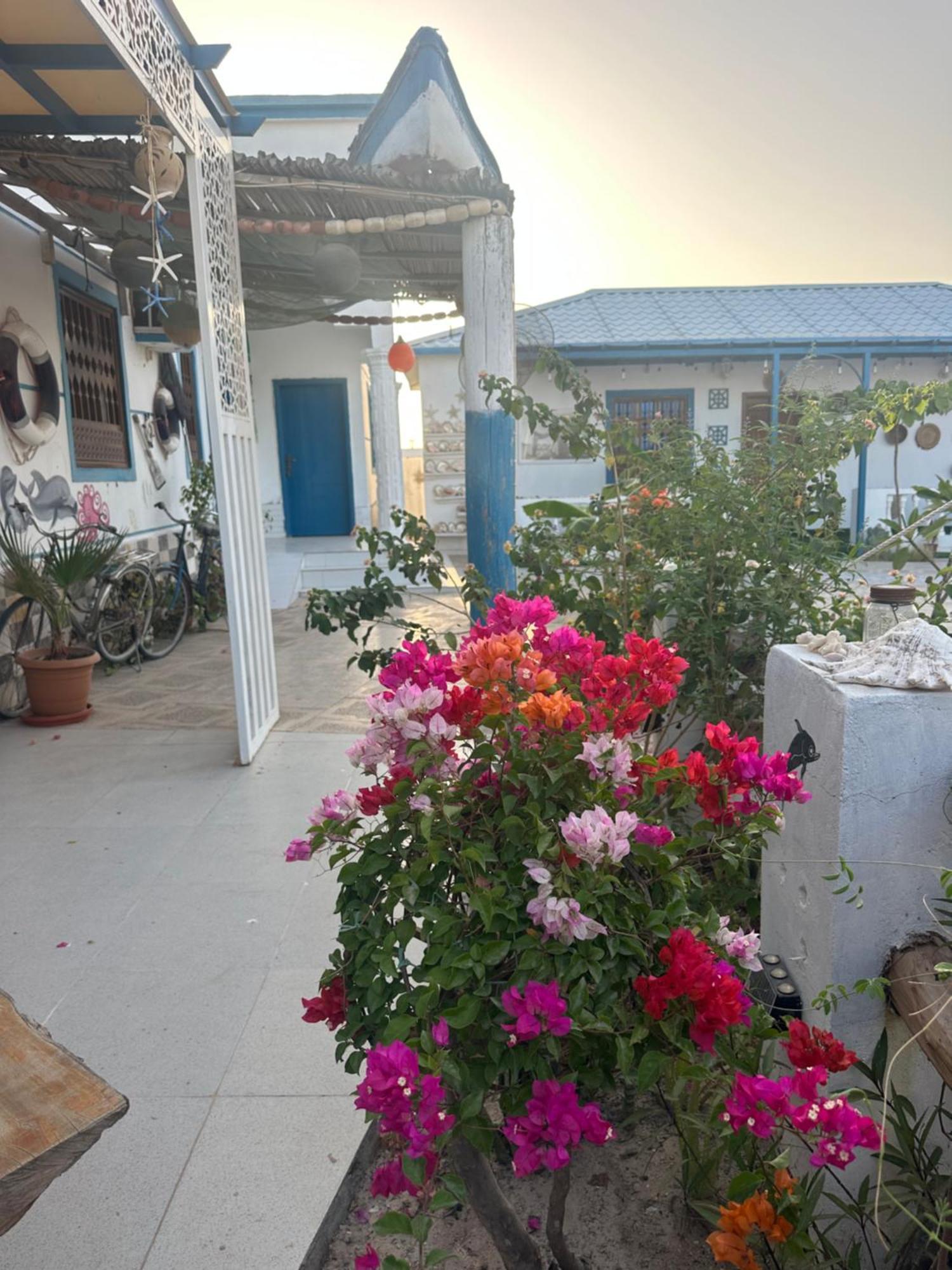 Salem Fish Guest House Ras al Hadd Exterior photo